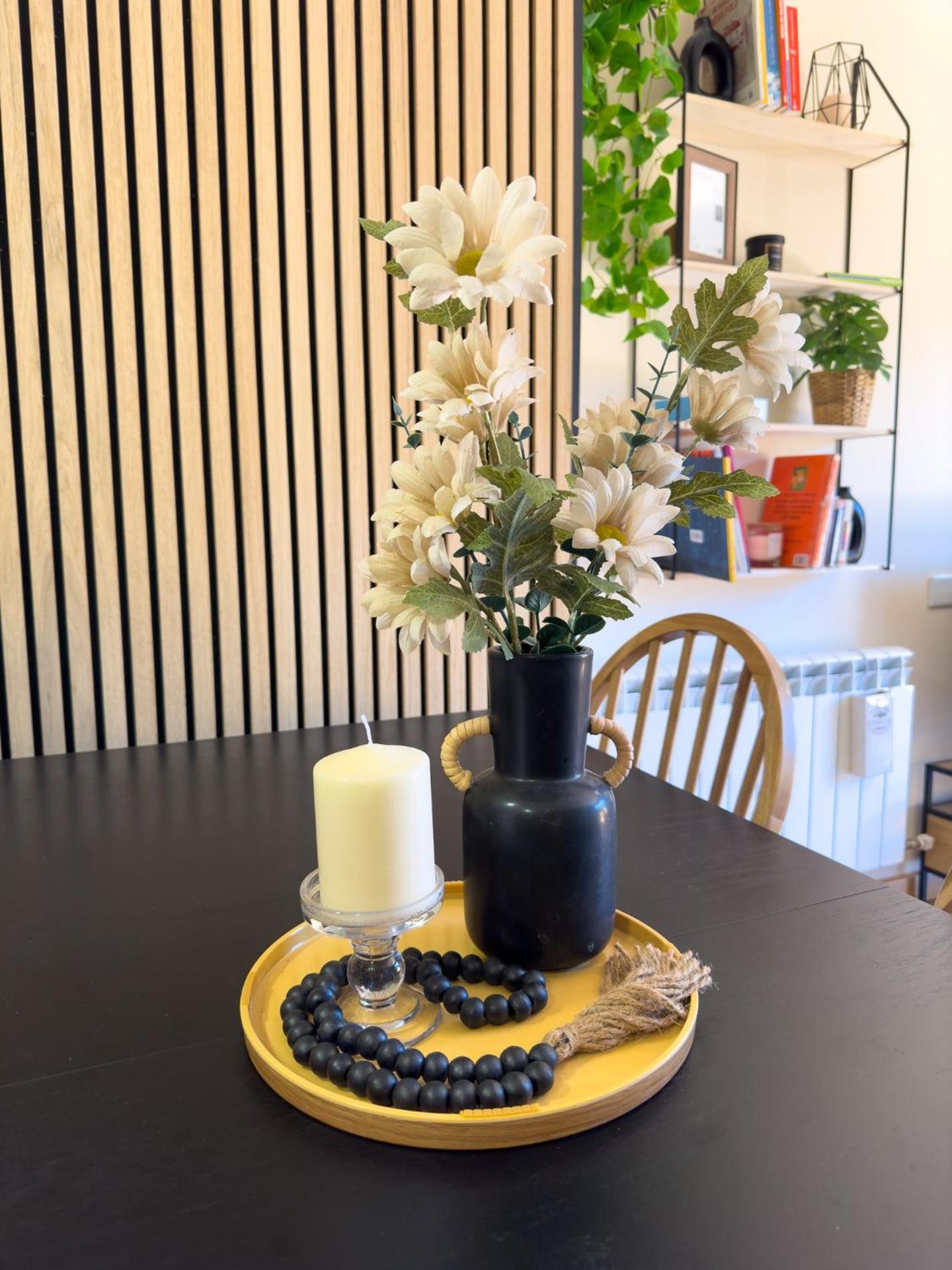 Apartamento con vistas Puigmal