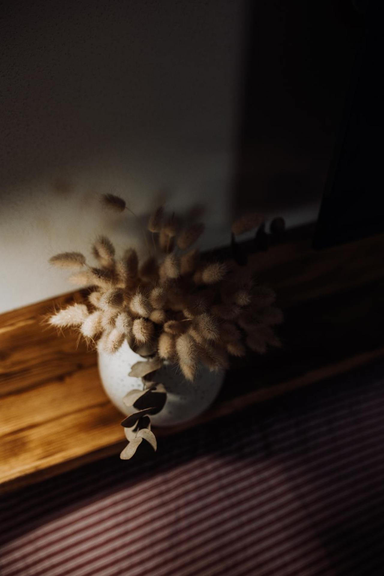 Apartmány Lešovice