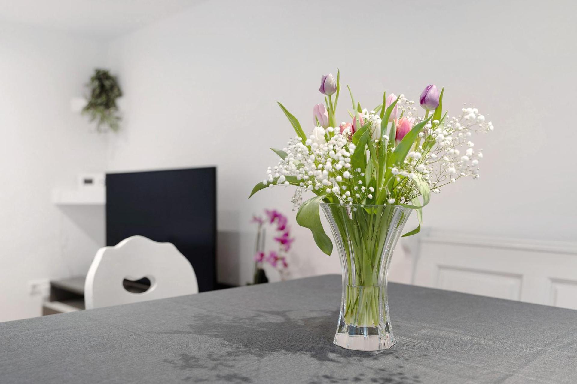 Hochwertige Ferienwohnung Ötigheim