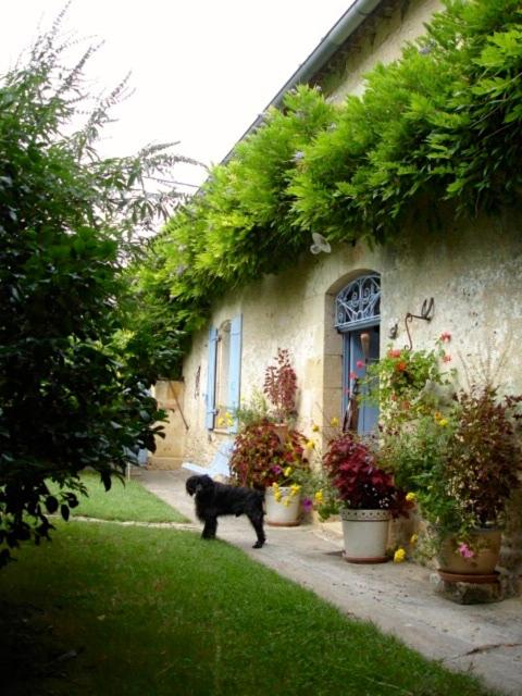 Inner courtyard view
