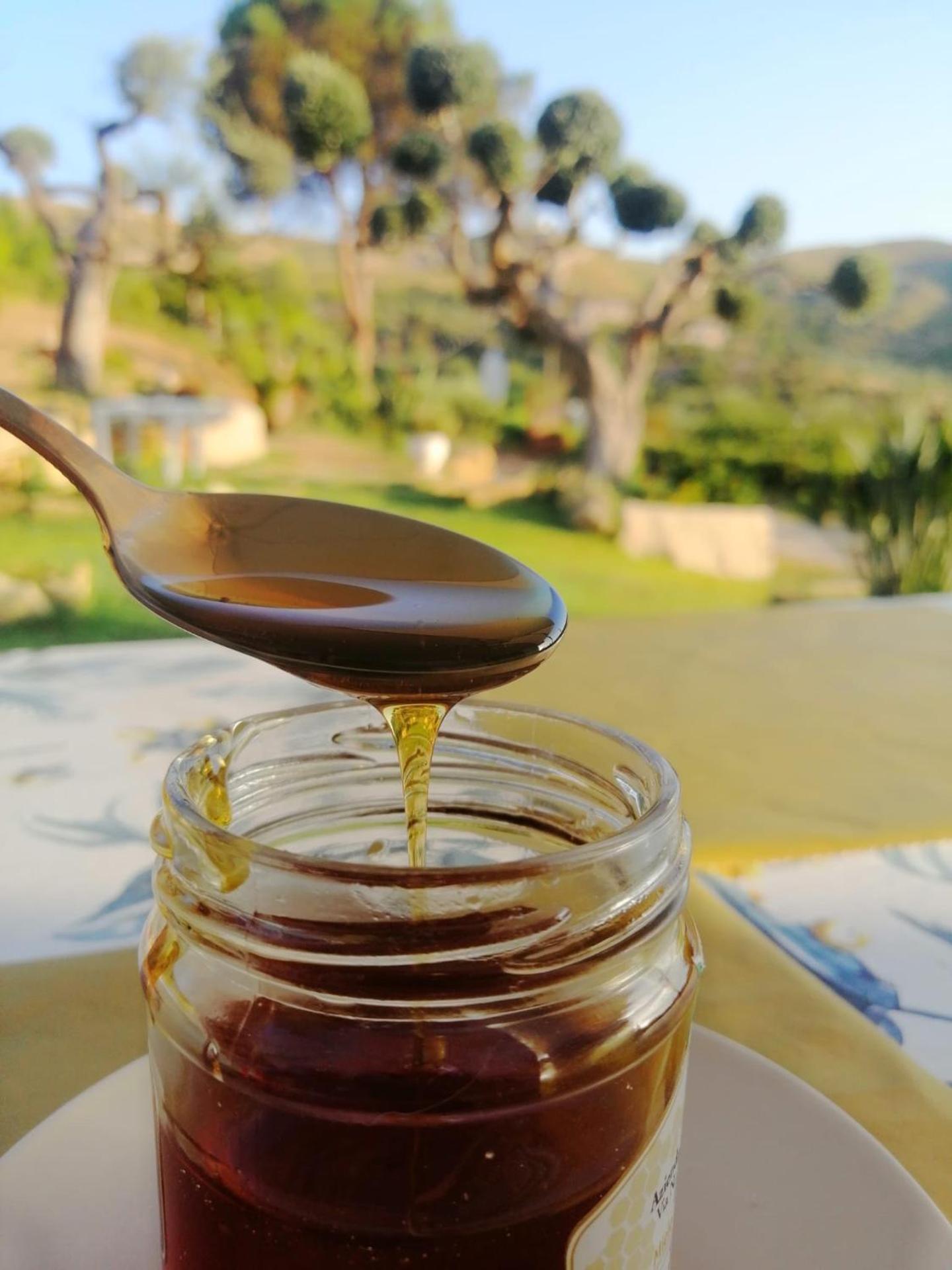 Alba in vigna Bed and Breakfast