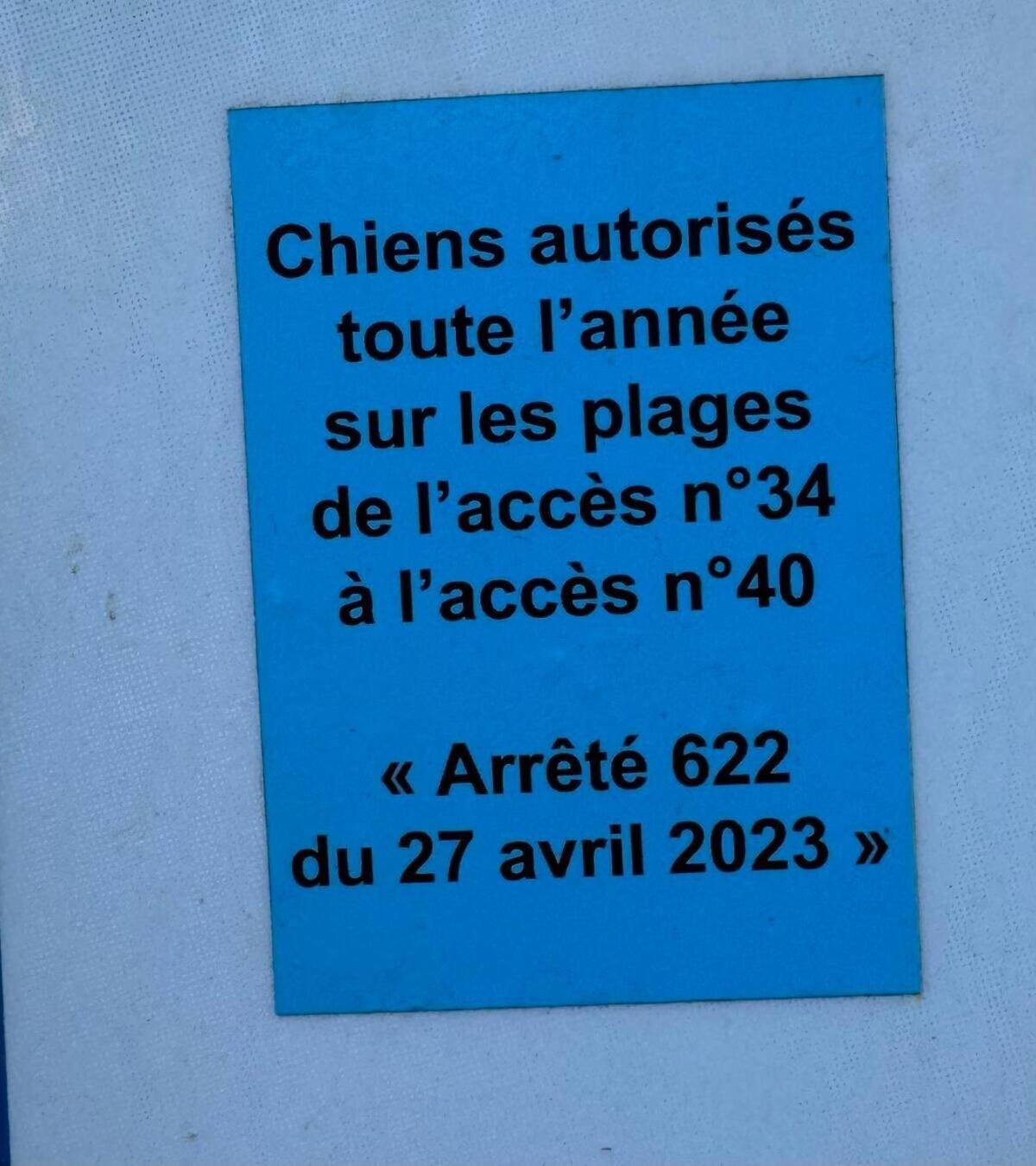 Mon Rooftop à la Plage