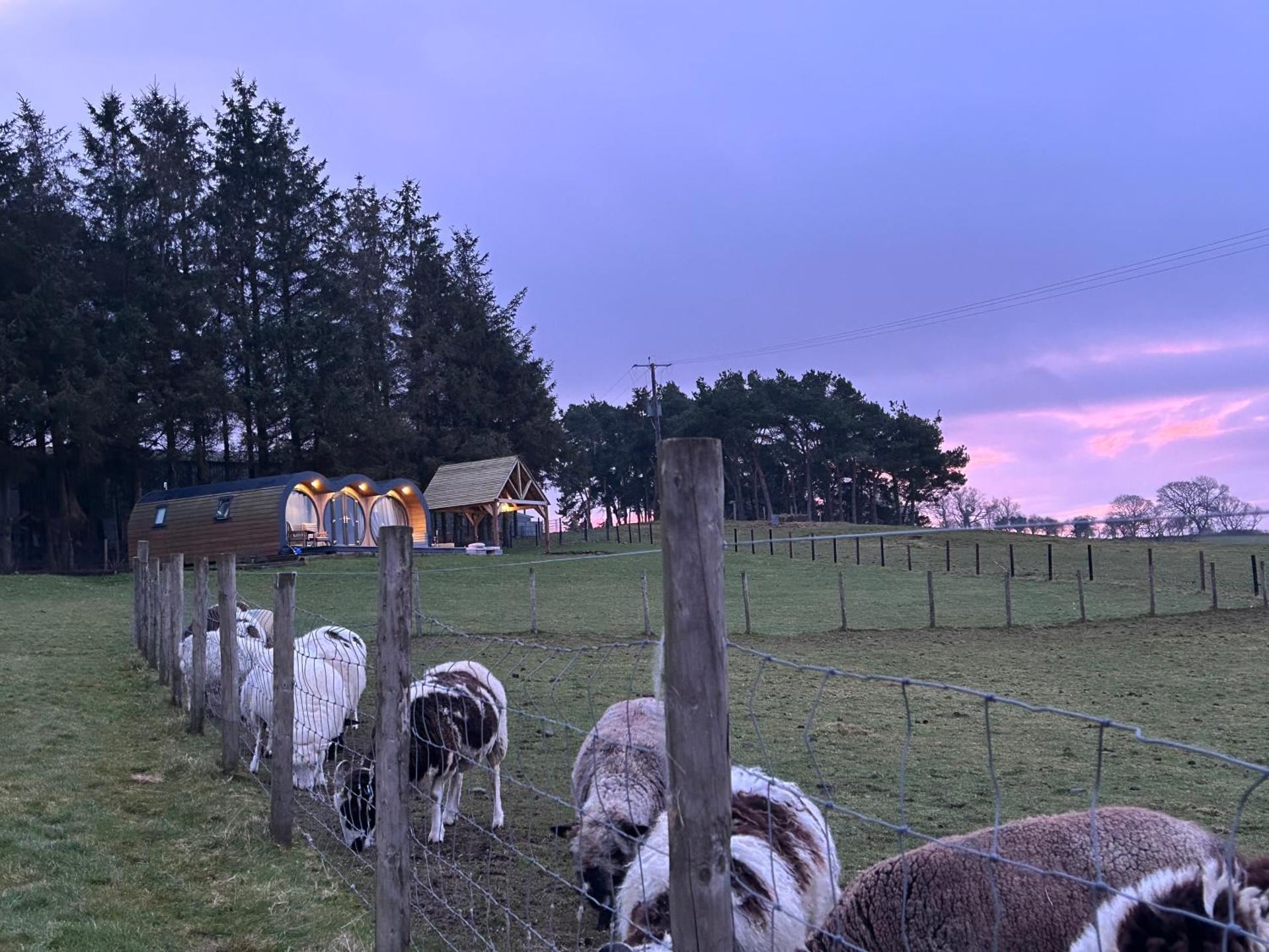 Great House Farm Luxury Pods and Self Catering