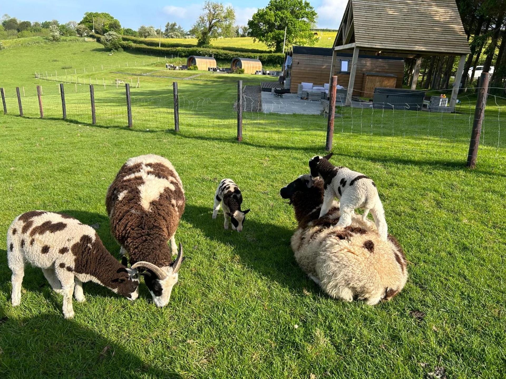 Great House Farm Luxury Pods and Self Catering