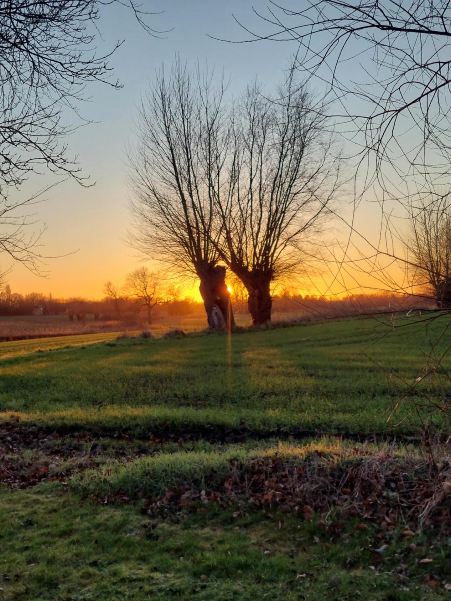 Krogsgaardens Bed and Breakfast