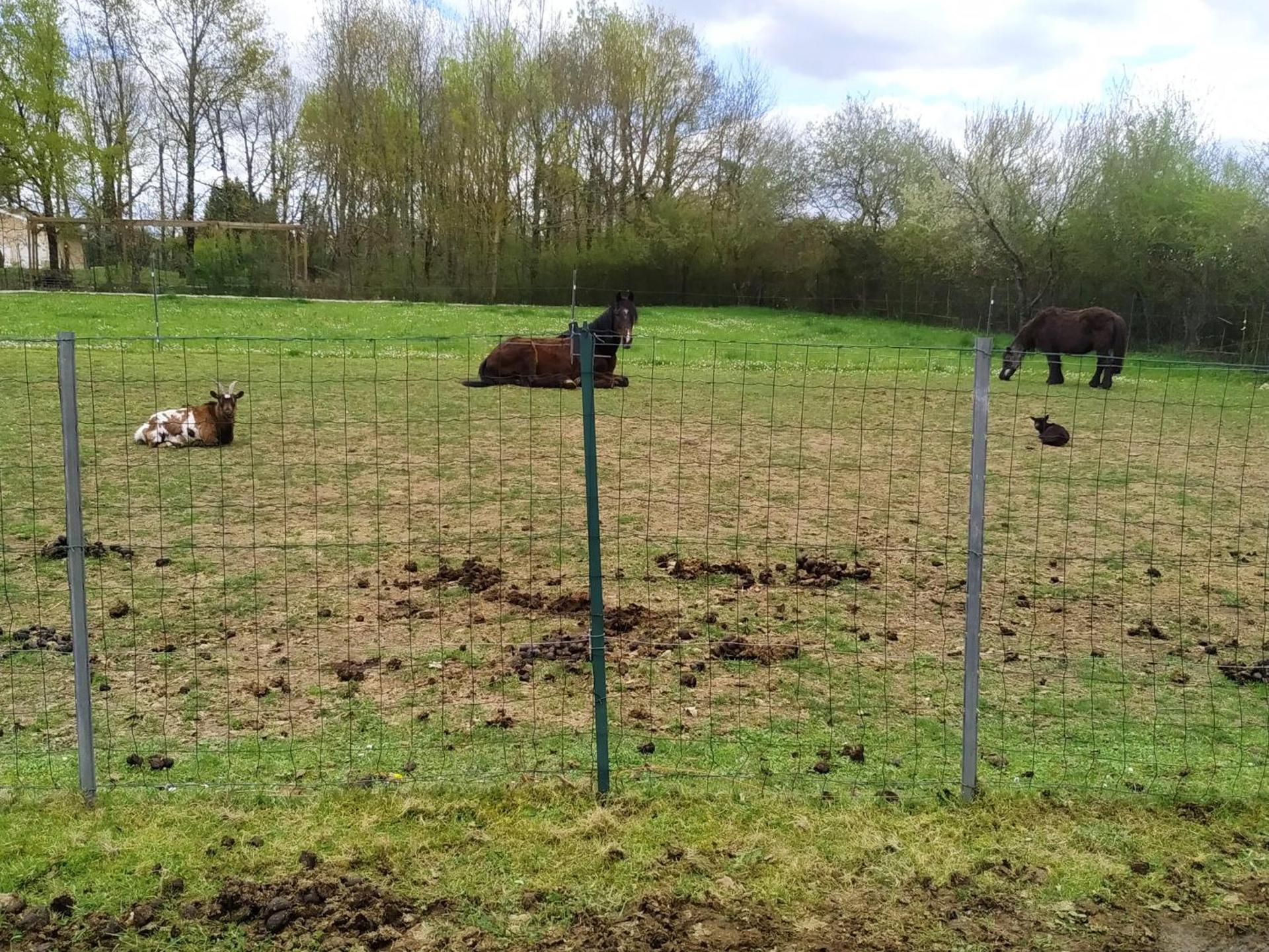 Charmante Dépendance