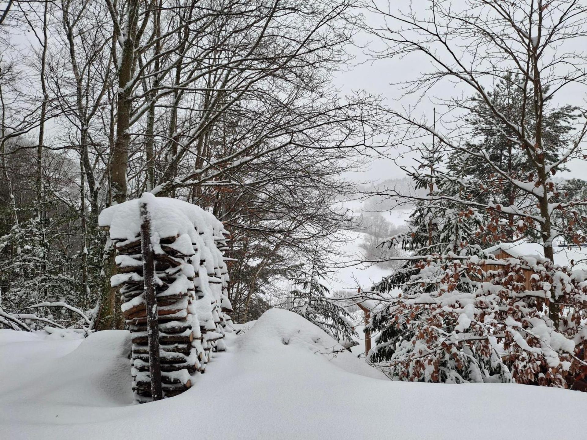 NORDIQUES DE LA WELCHE