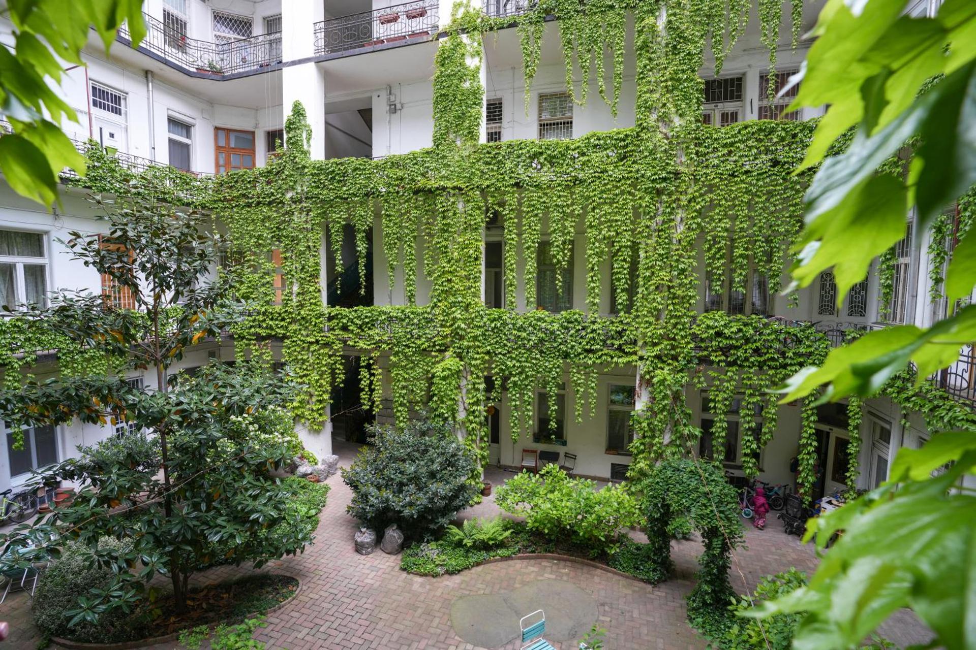 Beautiful newly refurbished studio,fully equipped apartment walking distance to the City Park where you will find the world famous Szechenyi thermal bath spa, Museums , and the Capital Circus , AC, smart TV, high speed internet