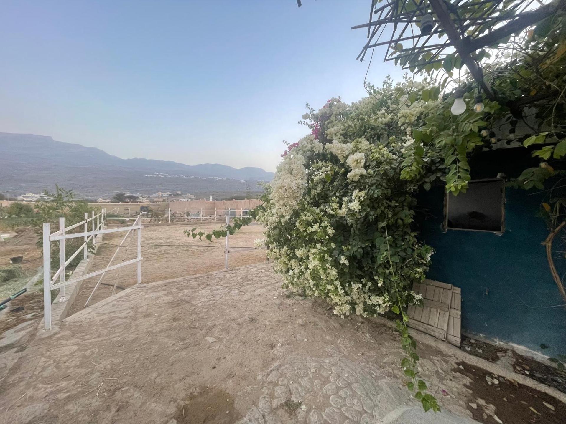 نزل نسيم الحمراء - nseem alhamra inn