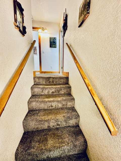 Stay in Yosemite-Cozy Bear North-Sleeps 5