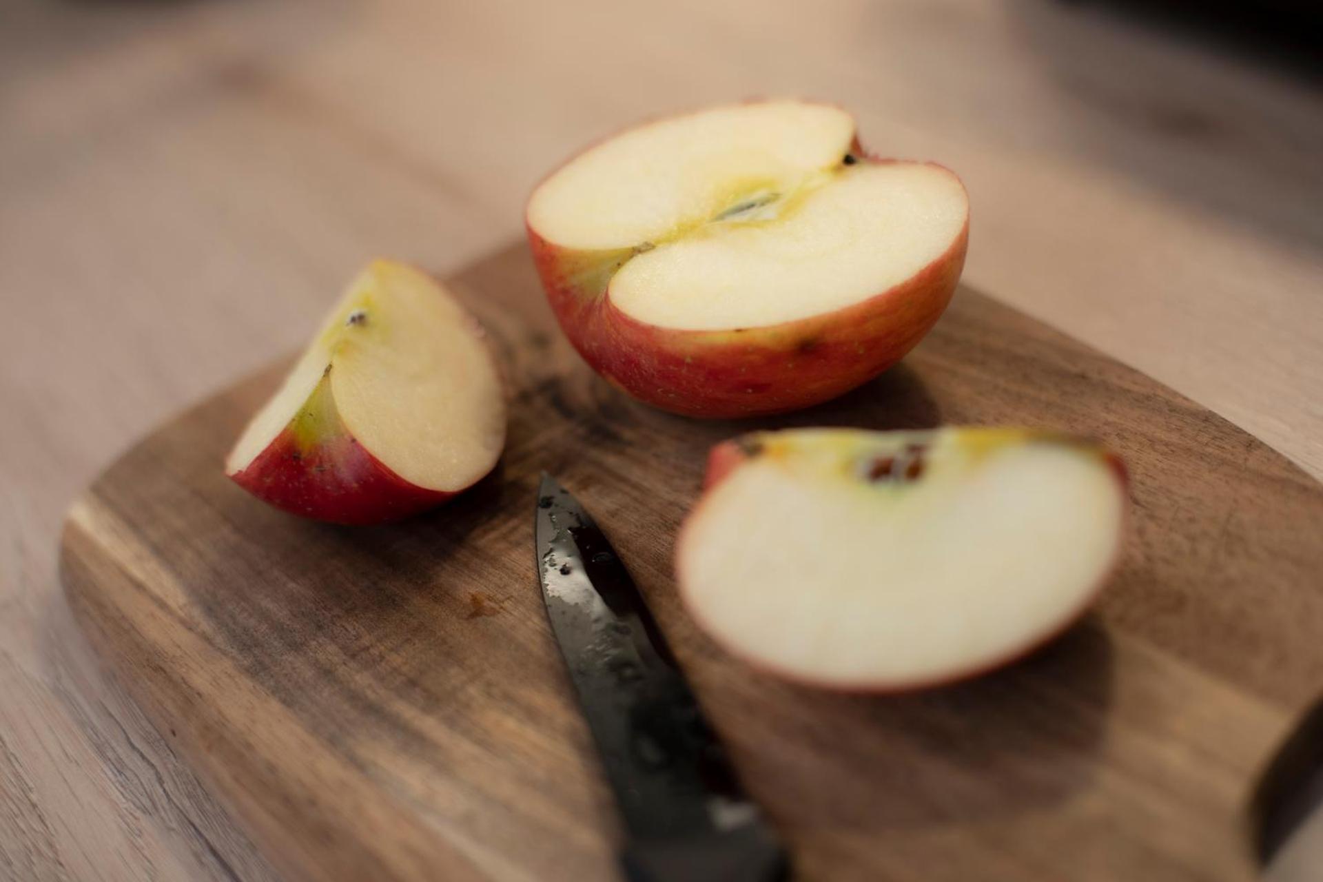 Nomad Haux Mestalla Room 101