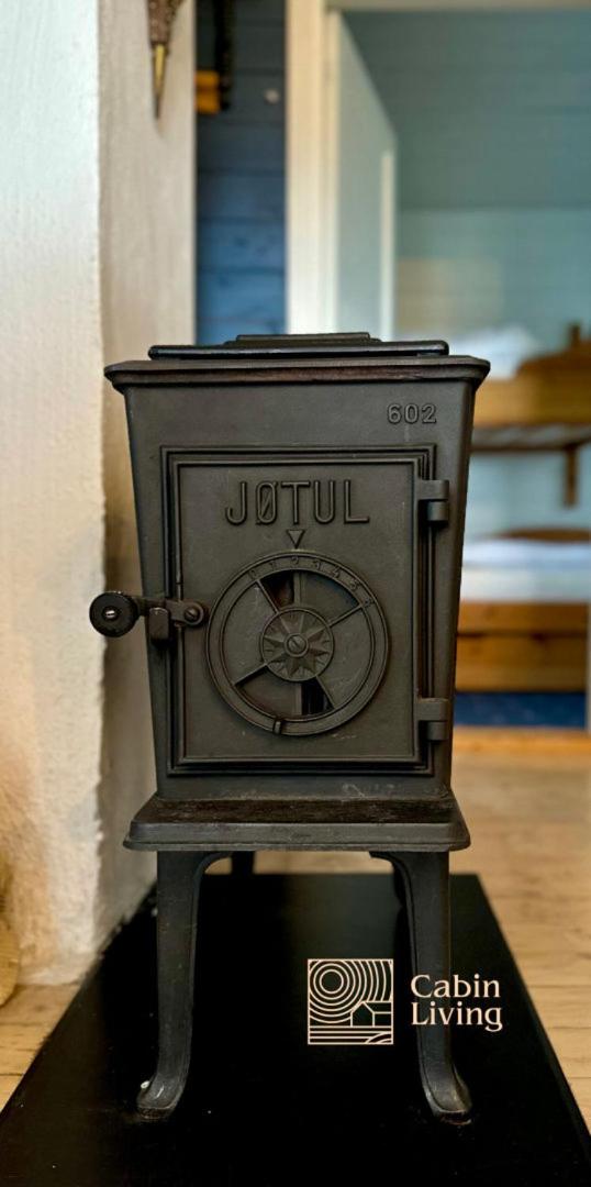 Large cabin Sjusjøen XC ski in out & lovely view