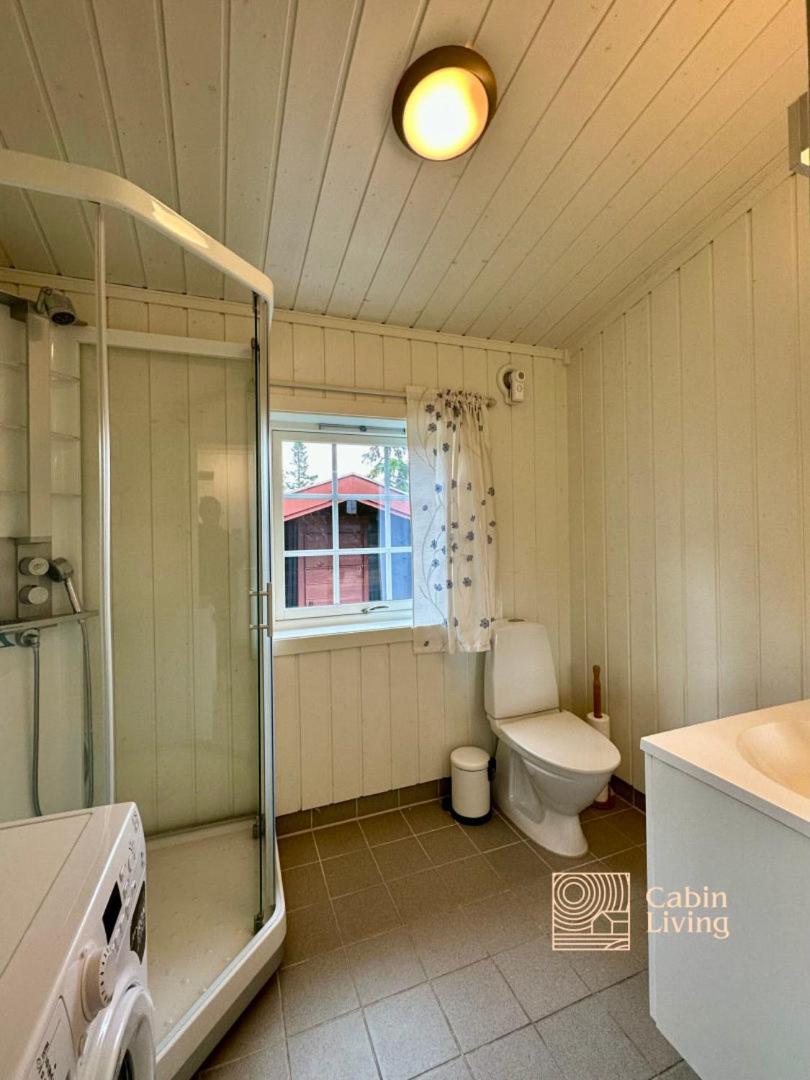 Large cabin Sjusjøen XC ski in out & lovely view