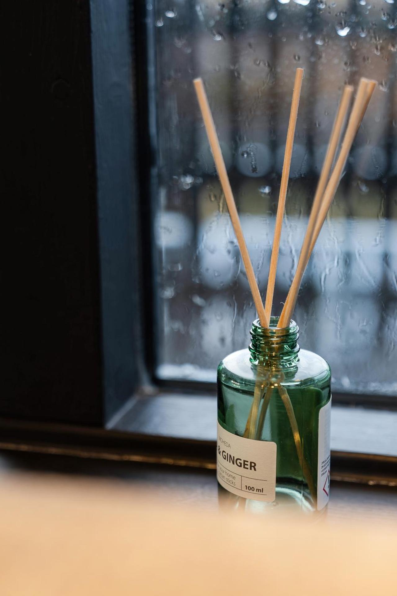 Cozy cabin near golden circle with panoramic views