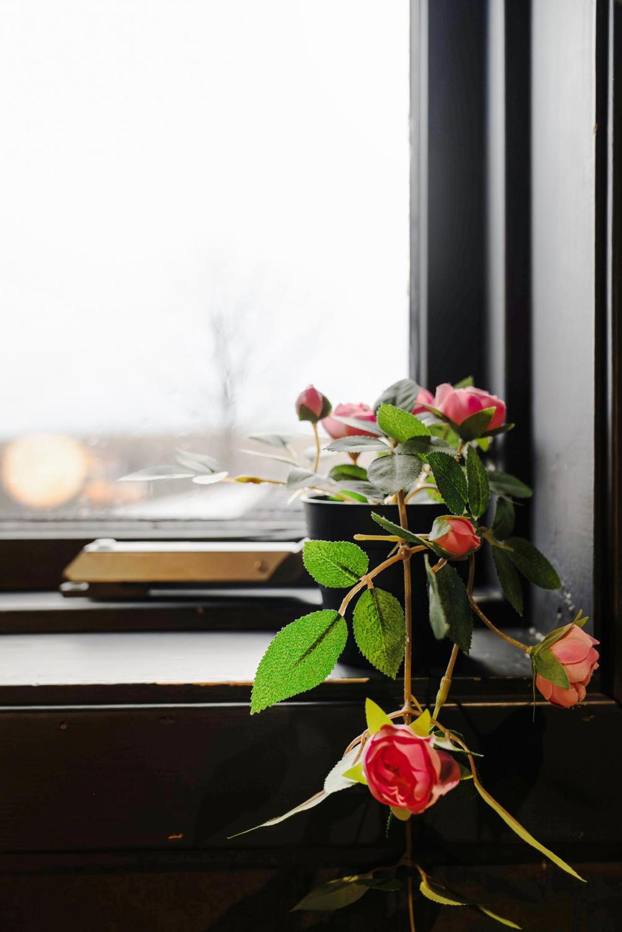 Cozy cabin near golden circle with panoramic views