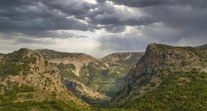 Apartments Gonies - Dimitra