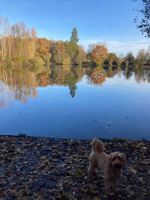 Cosy Countryside Cabin