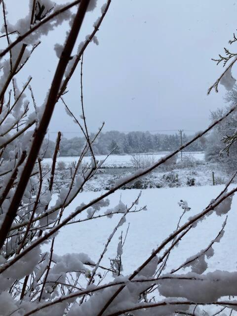 Cosy Countryside Cabin