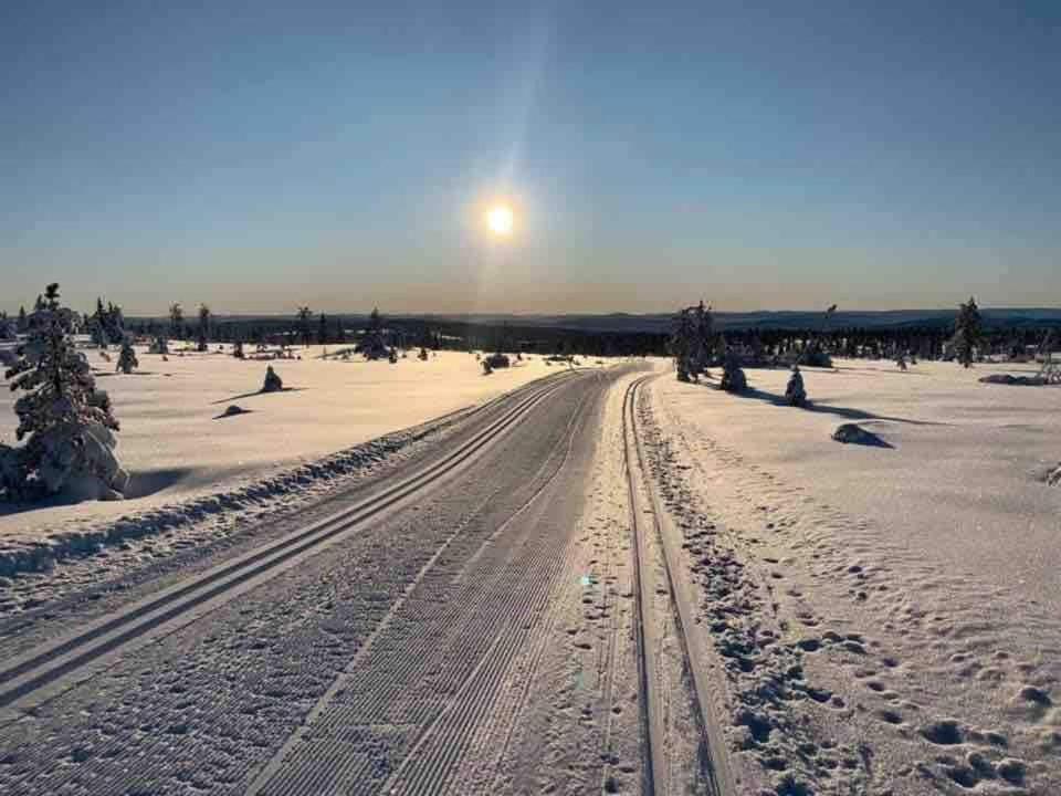 Cosy family cabin in Trysil