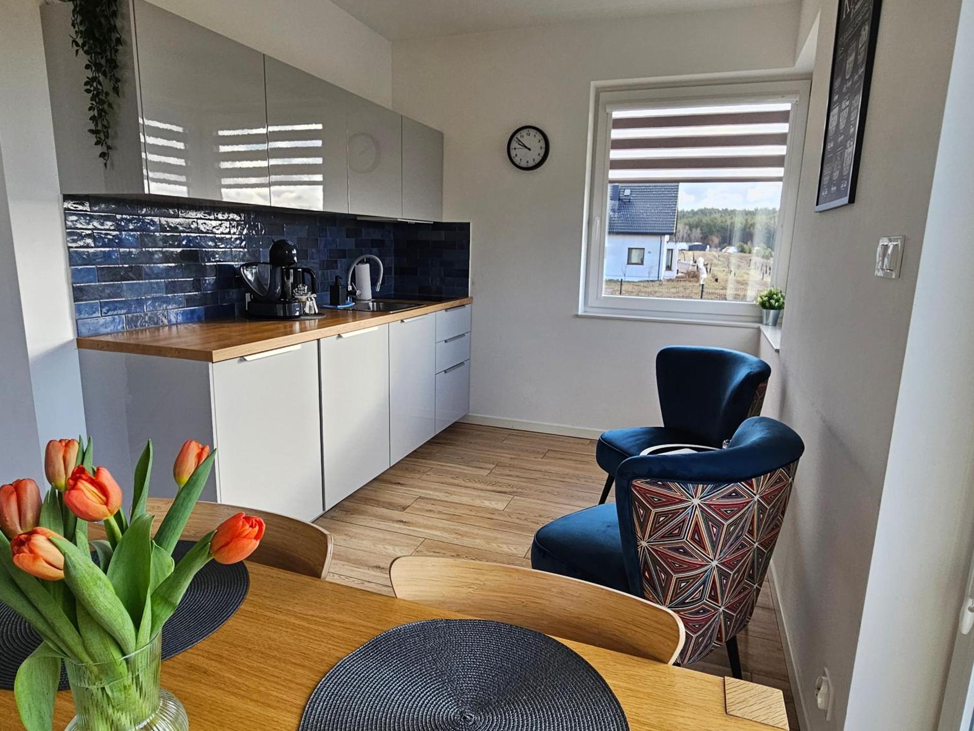 Dom na Kaszubach "White House" całoroczny na wyłączność