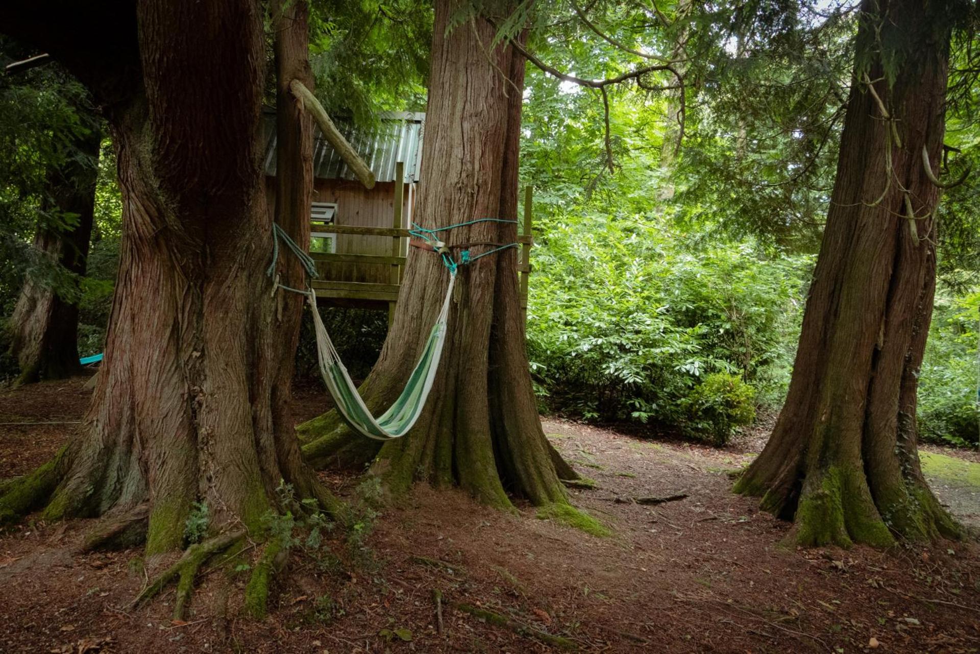 Children play ground