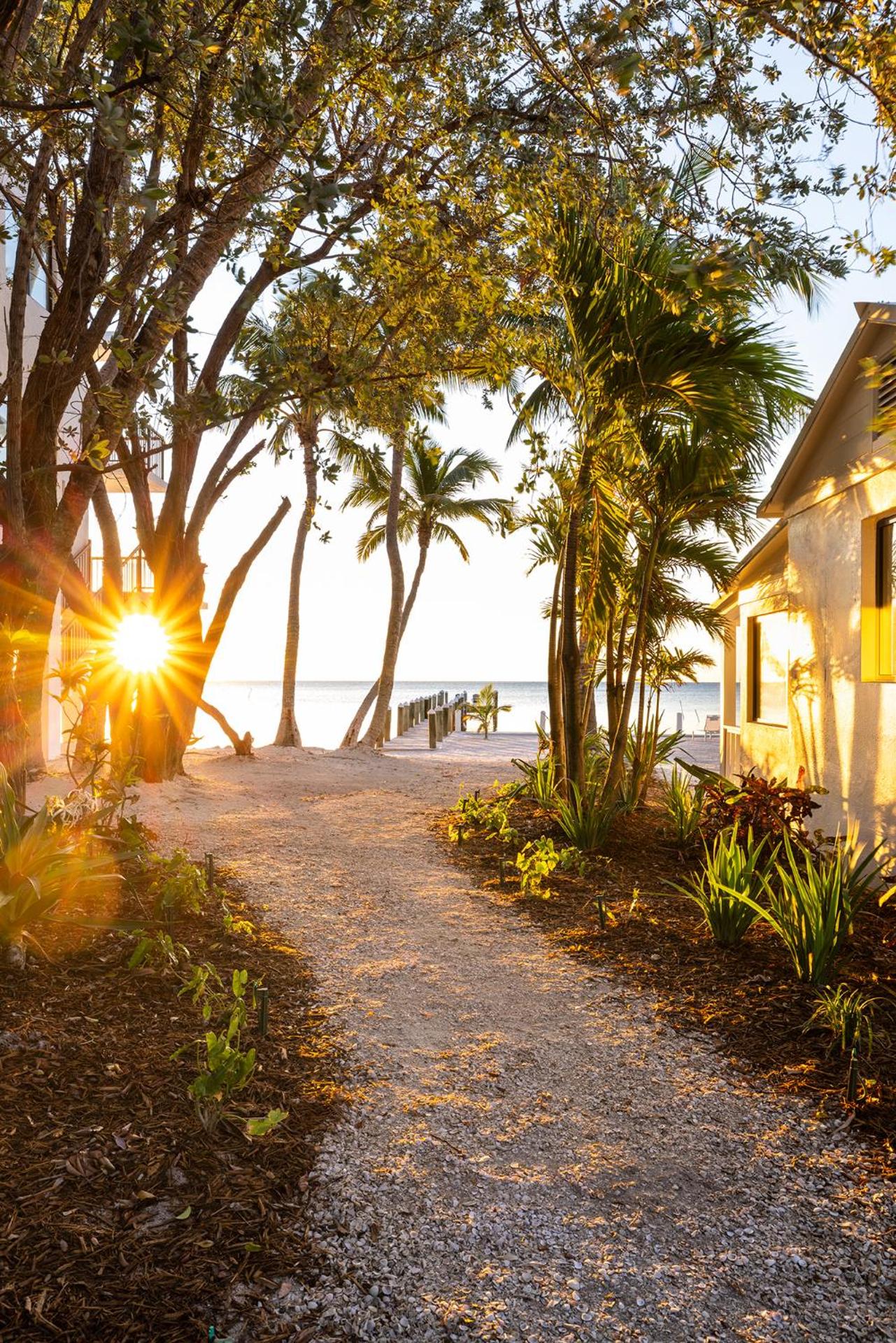 Pines & Palms Resort