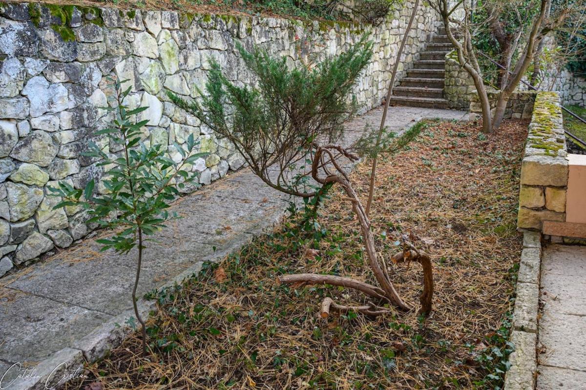Casa delle Magnolie a poca distanza da Verona e Fiera