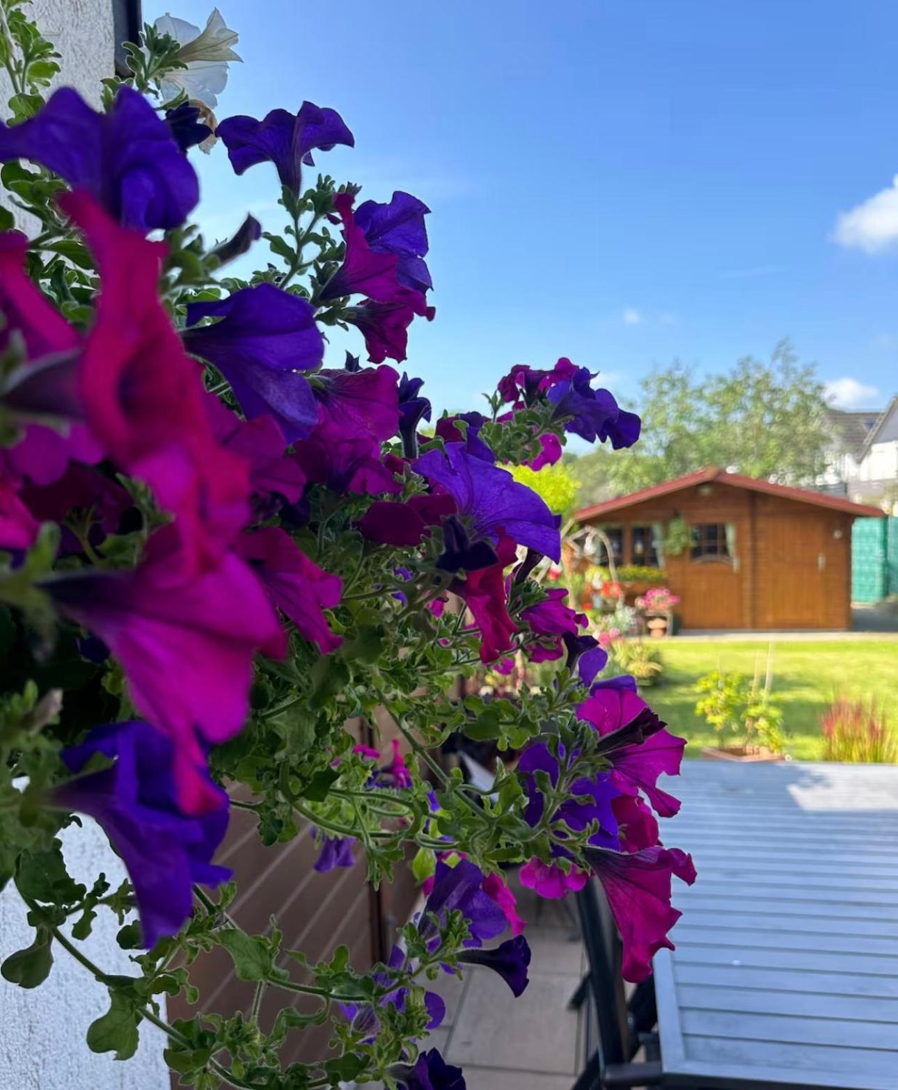 Privatzimmer bei Renate am Grünen See