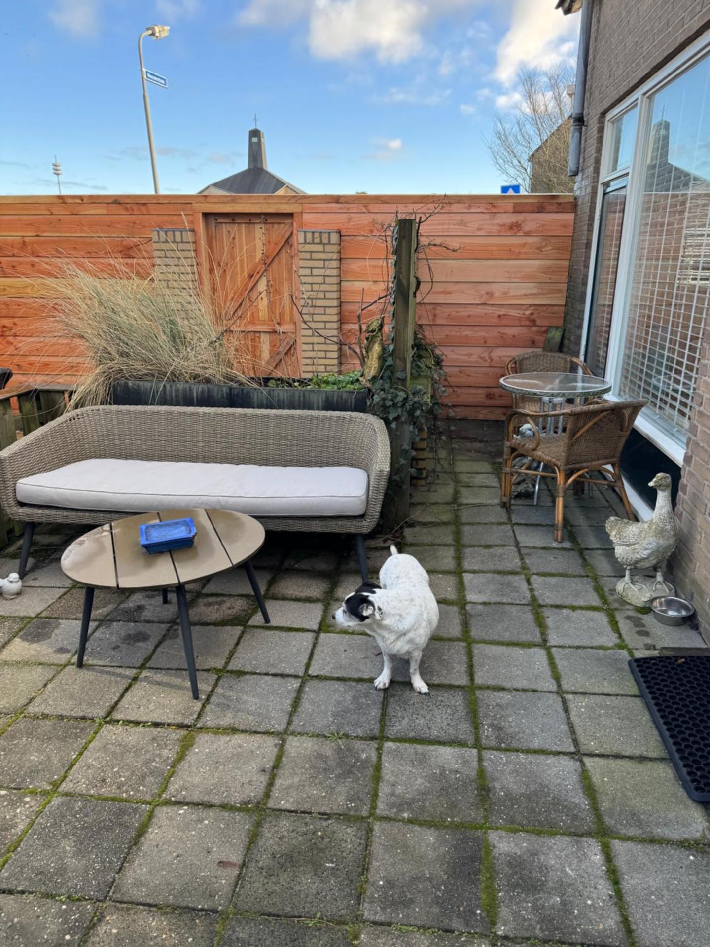 BeJa bij strand en duin