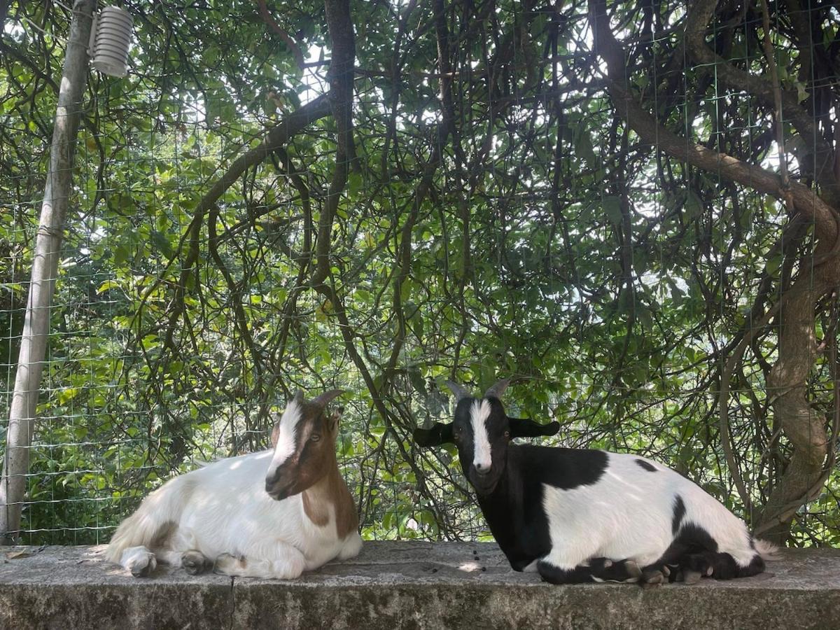 Affittacamere Casimiro