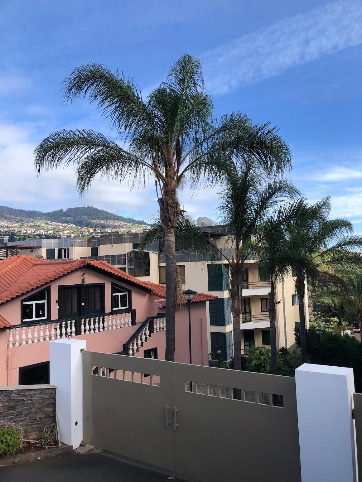 Loft in Calheta Madeira