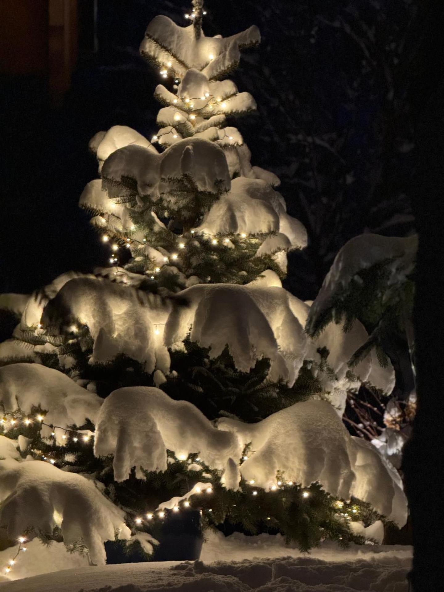 DOMEK POD TRÓJMORSKIM WIERCHEM