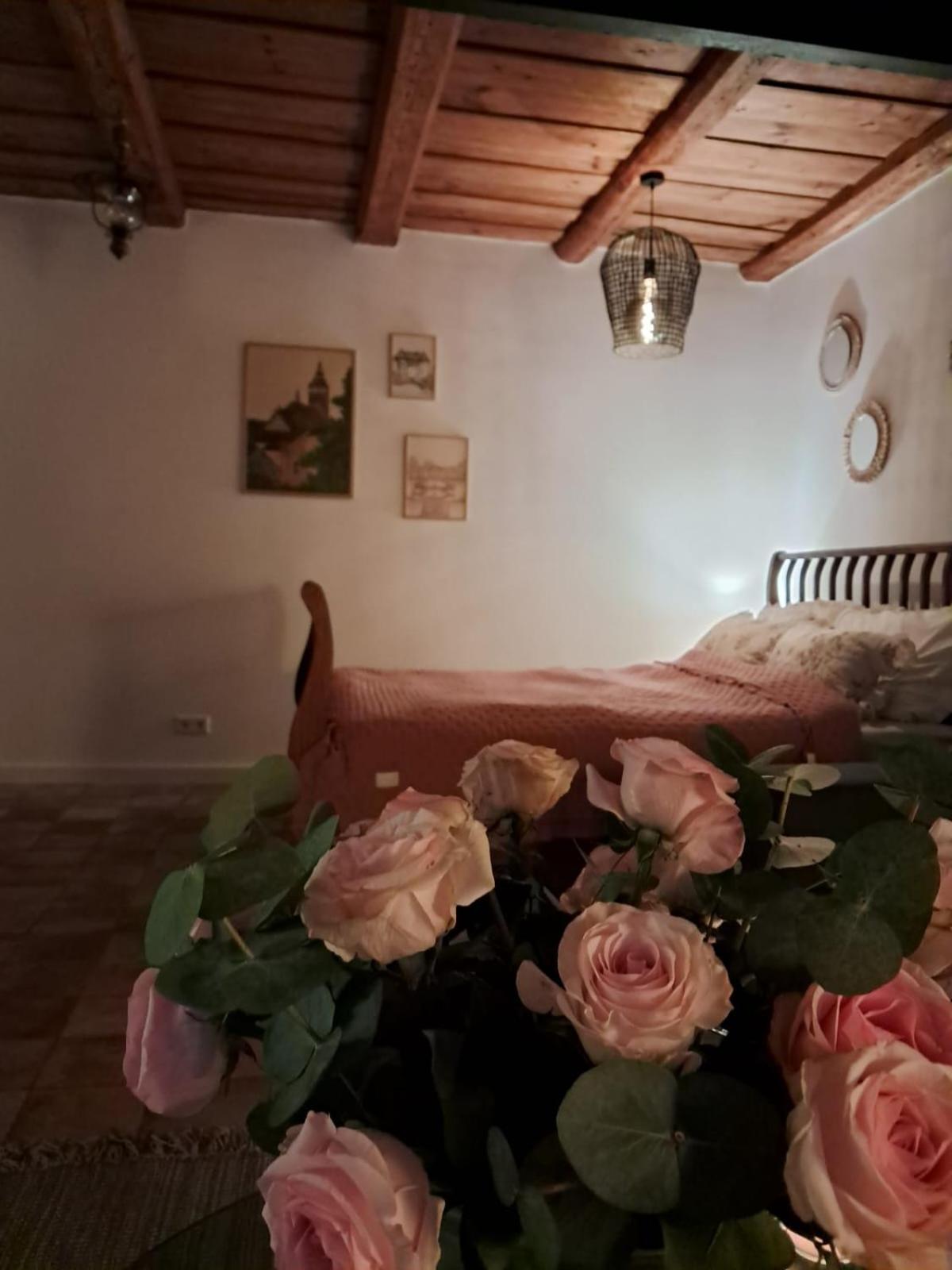 Apartament typu studio w Kamienicy