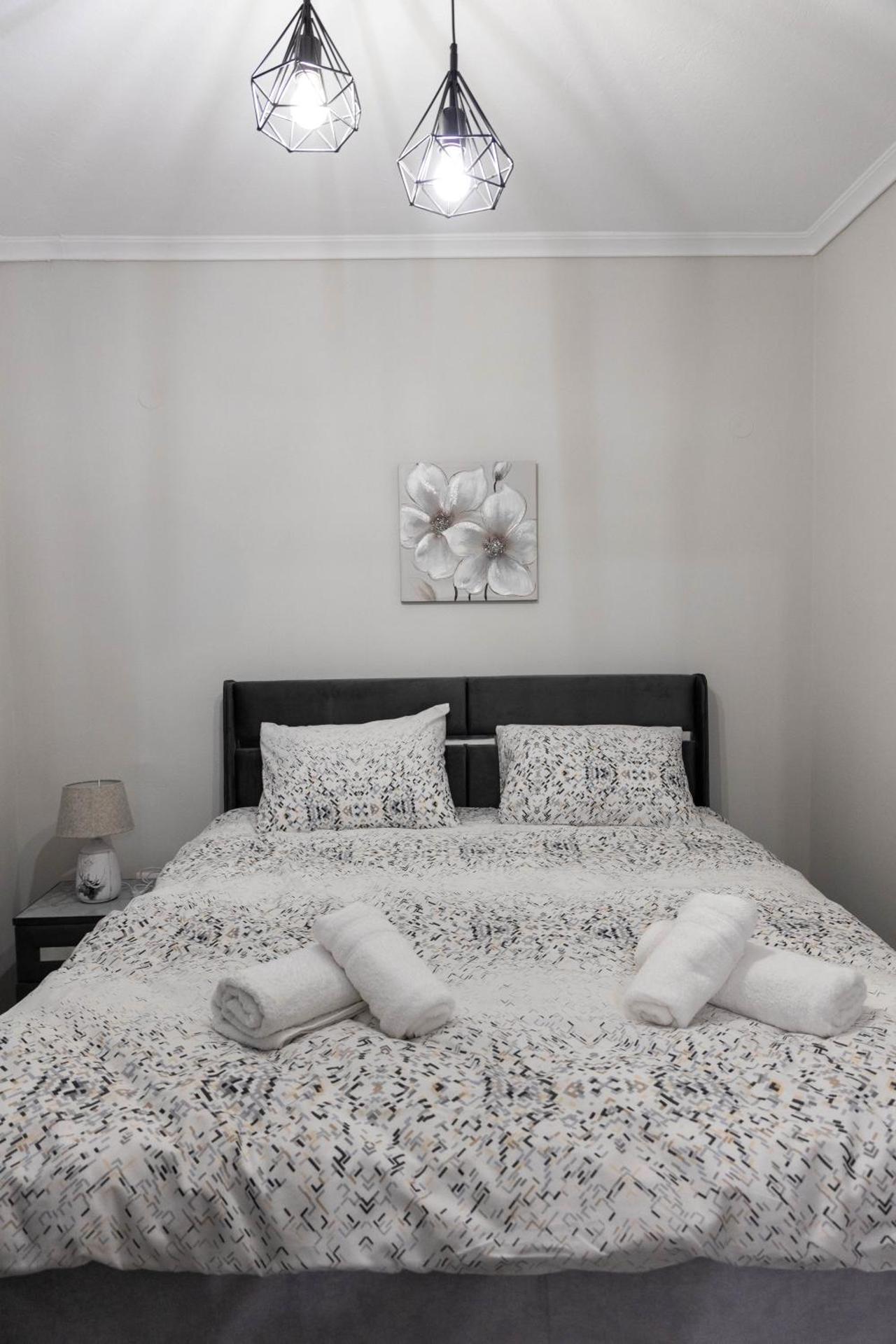 Comfortable Suites 2