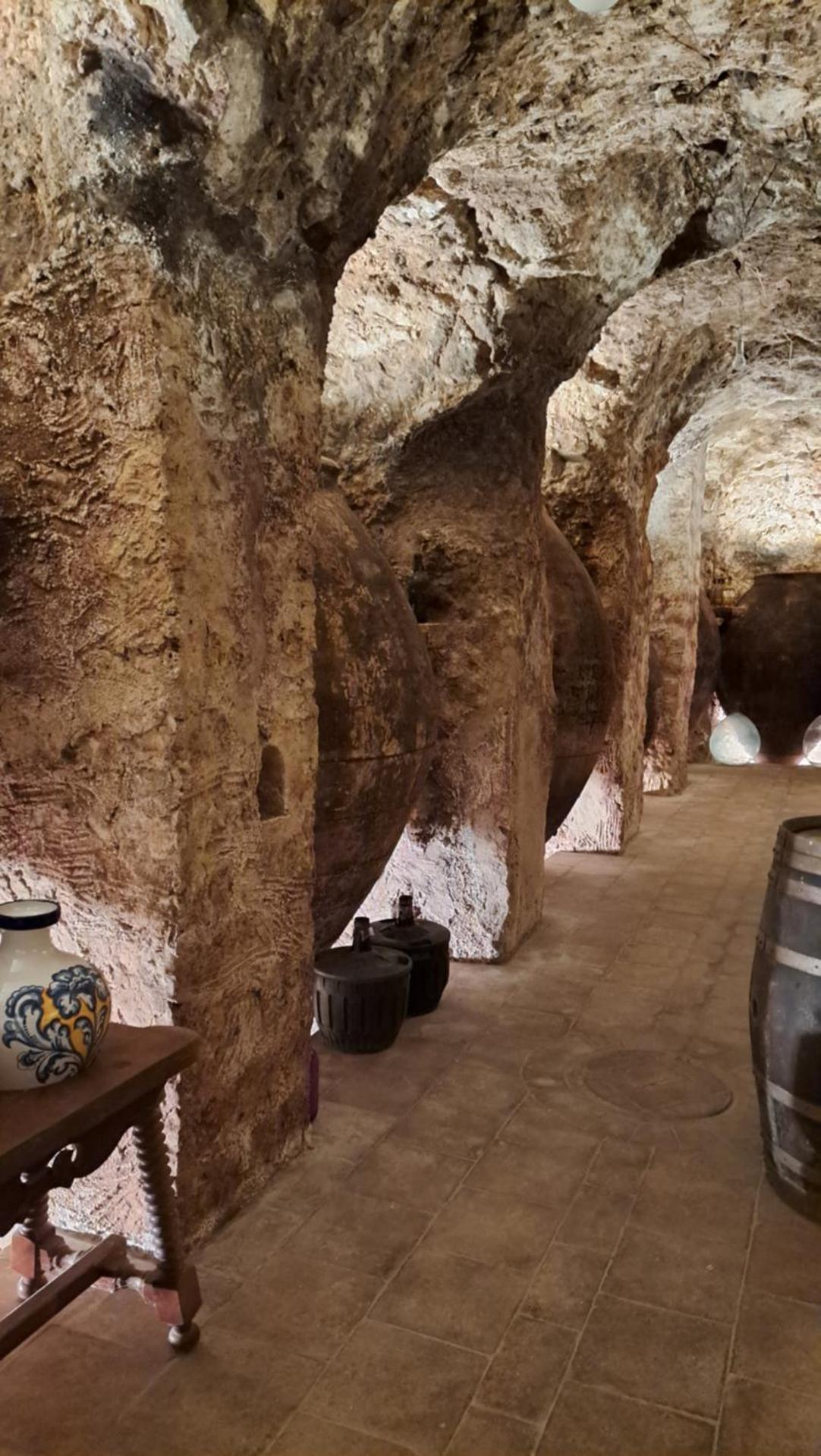 Casa Rural LA BODEGA, ofrece cata de vino gratis