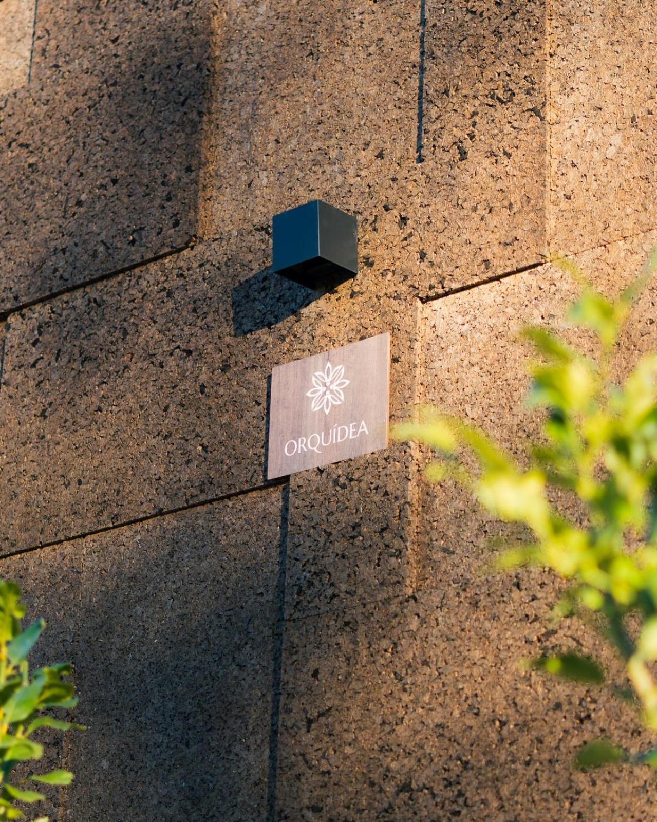 Quinta Casal da Silva 1951