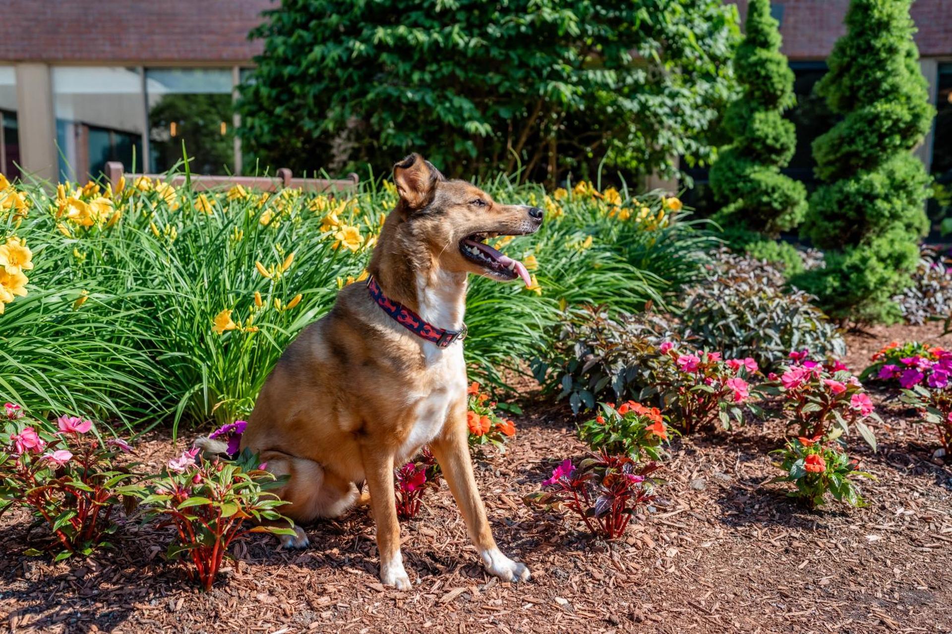 Inner courtyard view