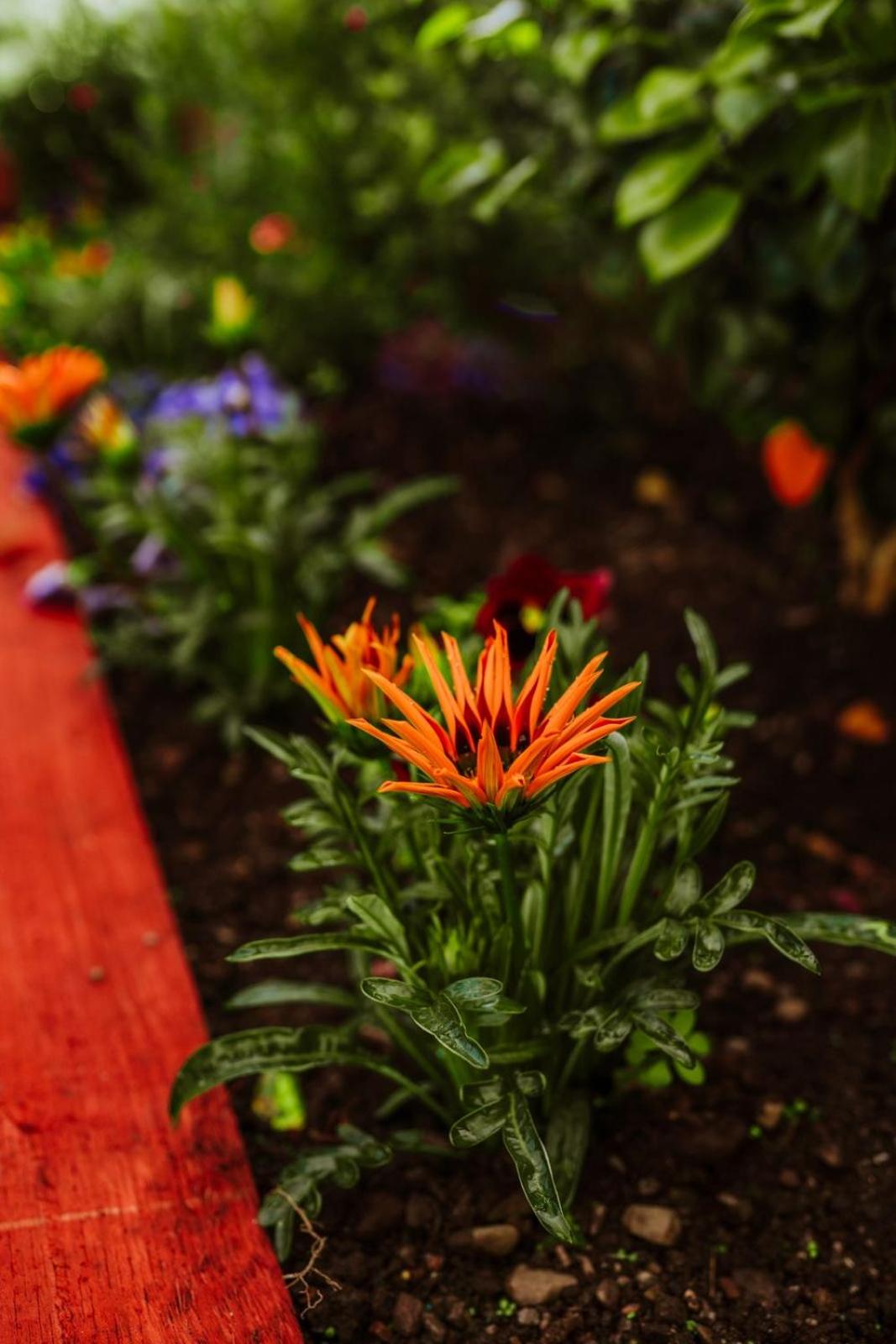 Dawn Break Guest House