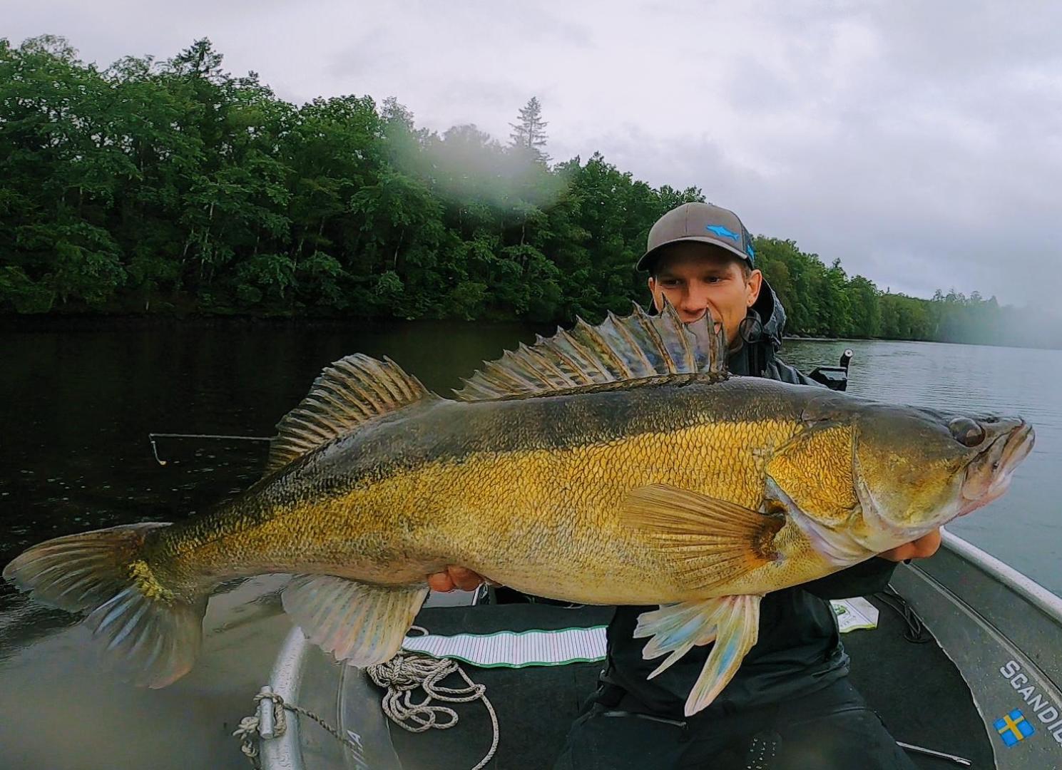 Henrys utanför Ullared