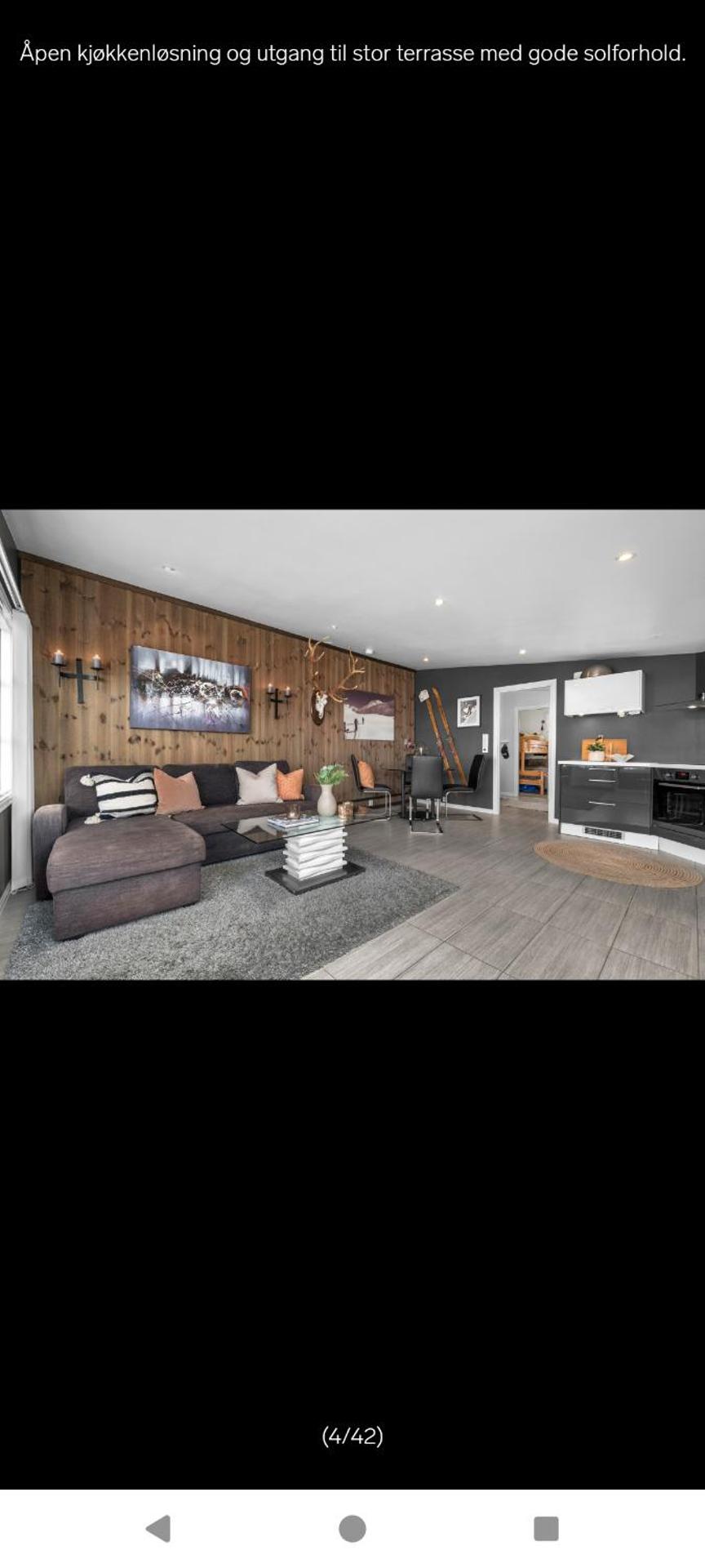 Ski inn Ski Out Best holiday Apartments i Oppdal