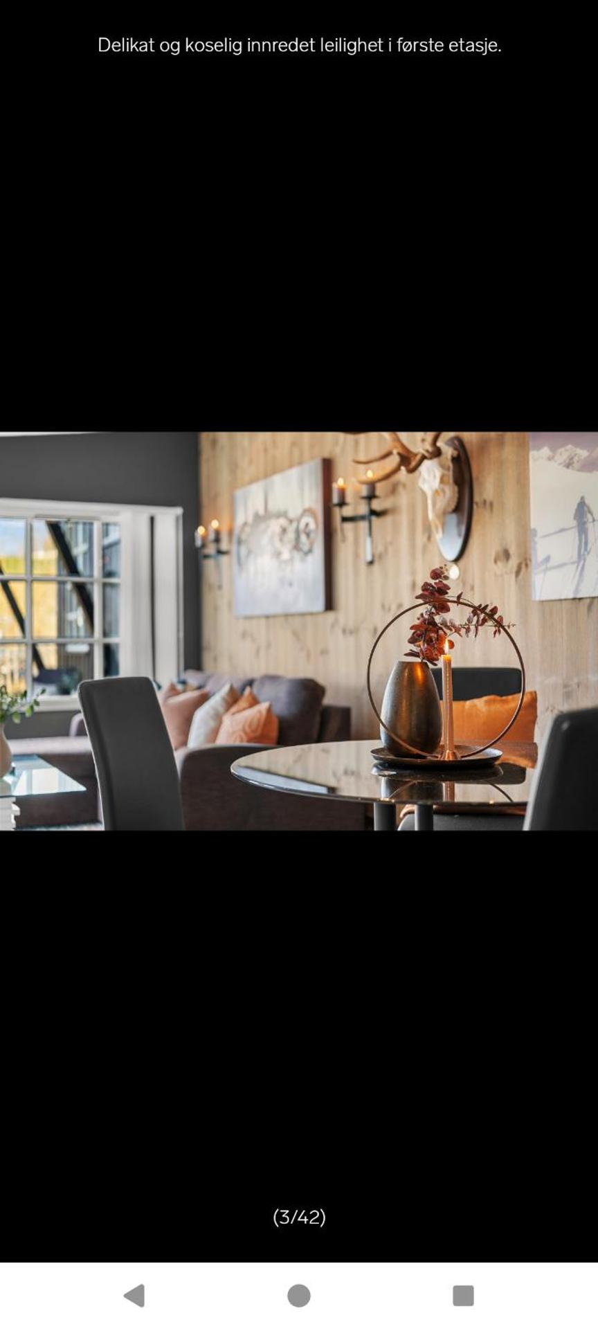 Ski inn Ski Out Best holiday Apartments i Oppdal