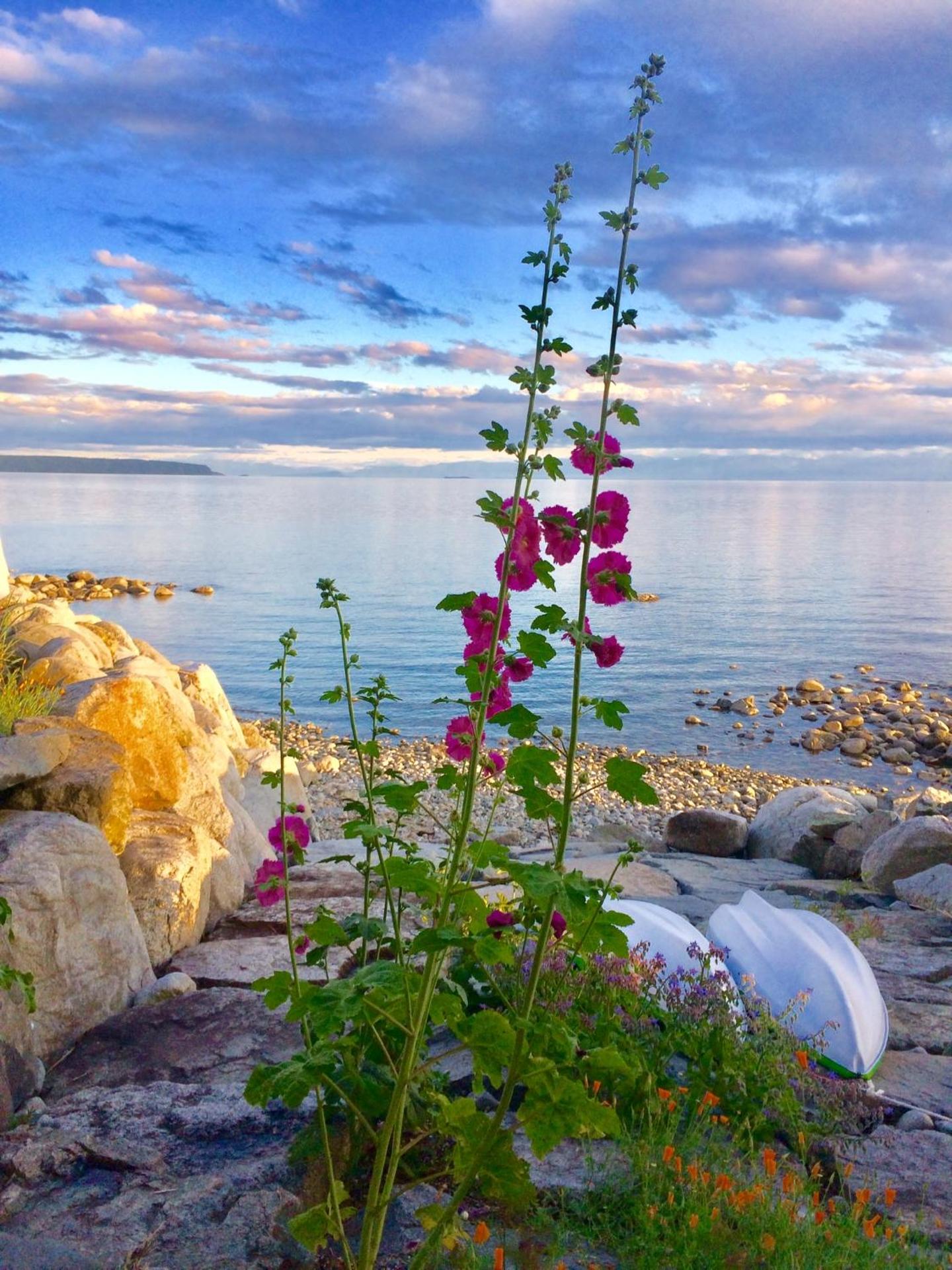 Blitz Beach House Oceanside Suite