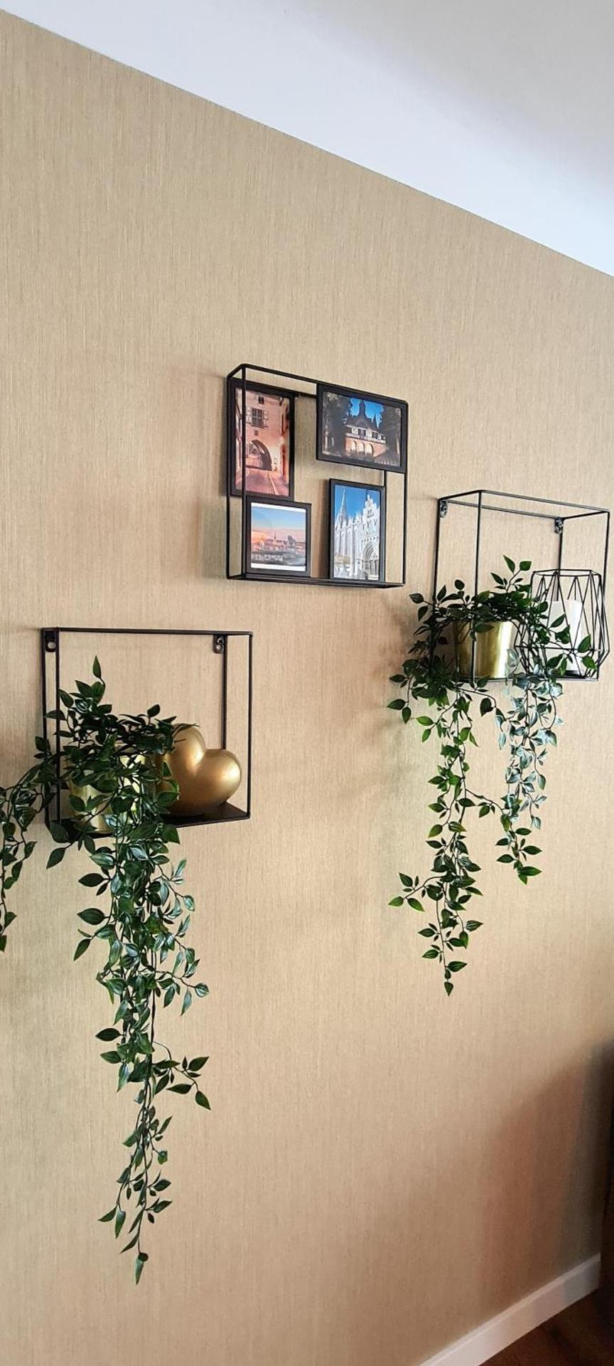 Brücke26 Stadthaus mit Dachterrasse