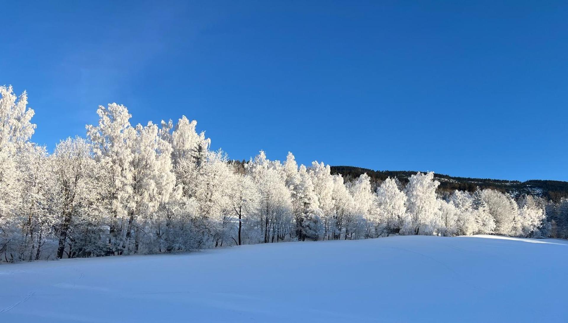 Luční apartmán Jurajda