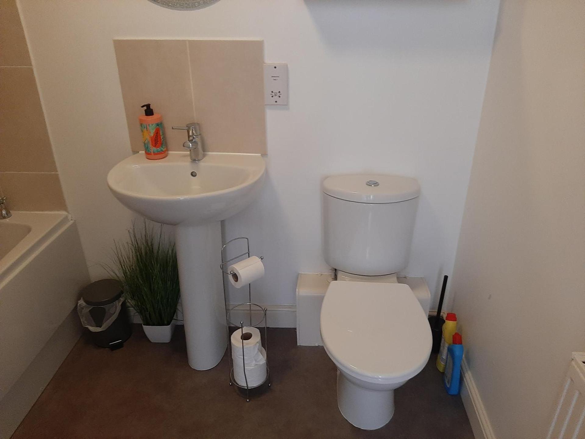 Cozy Courtyard Apt Explore & Relax Free Parking