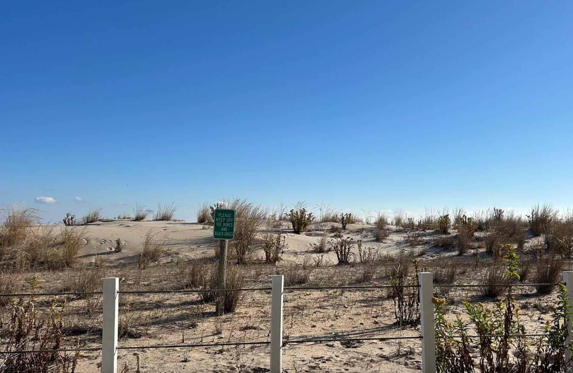 Camera King con Vista Giardino