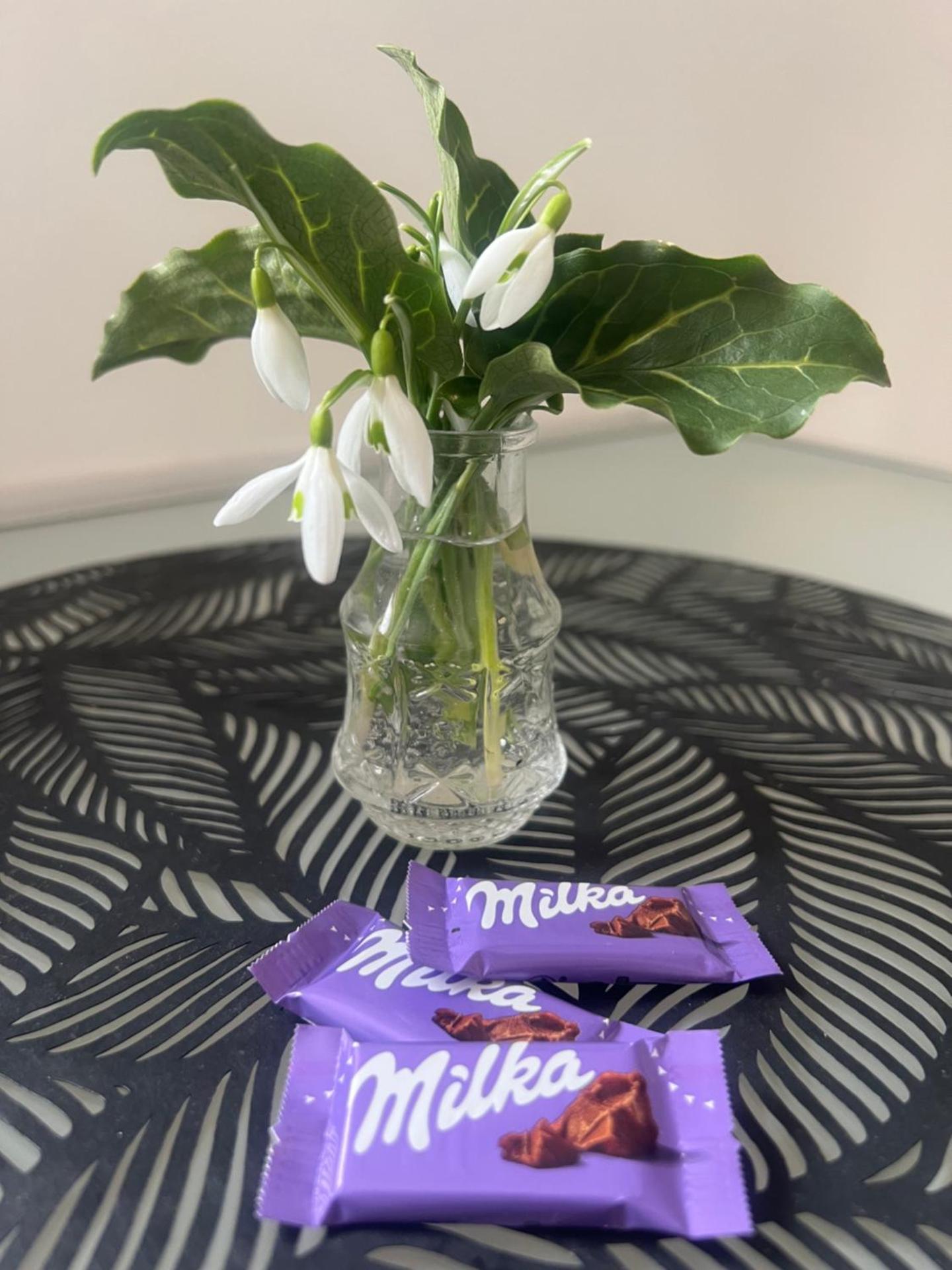 Apartments "Am Ardetzenberg"