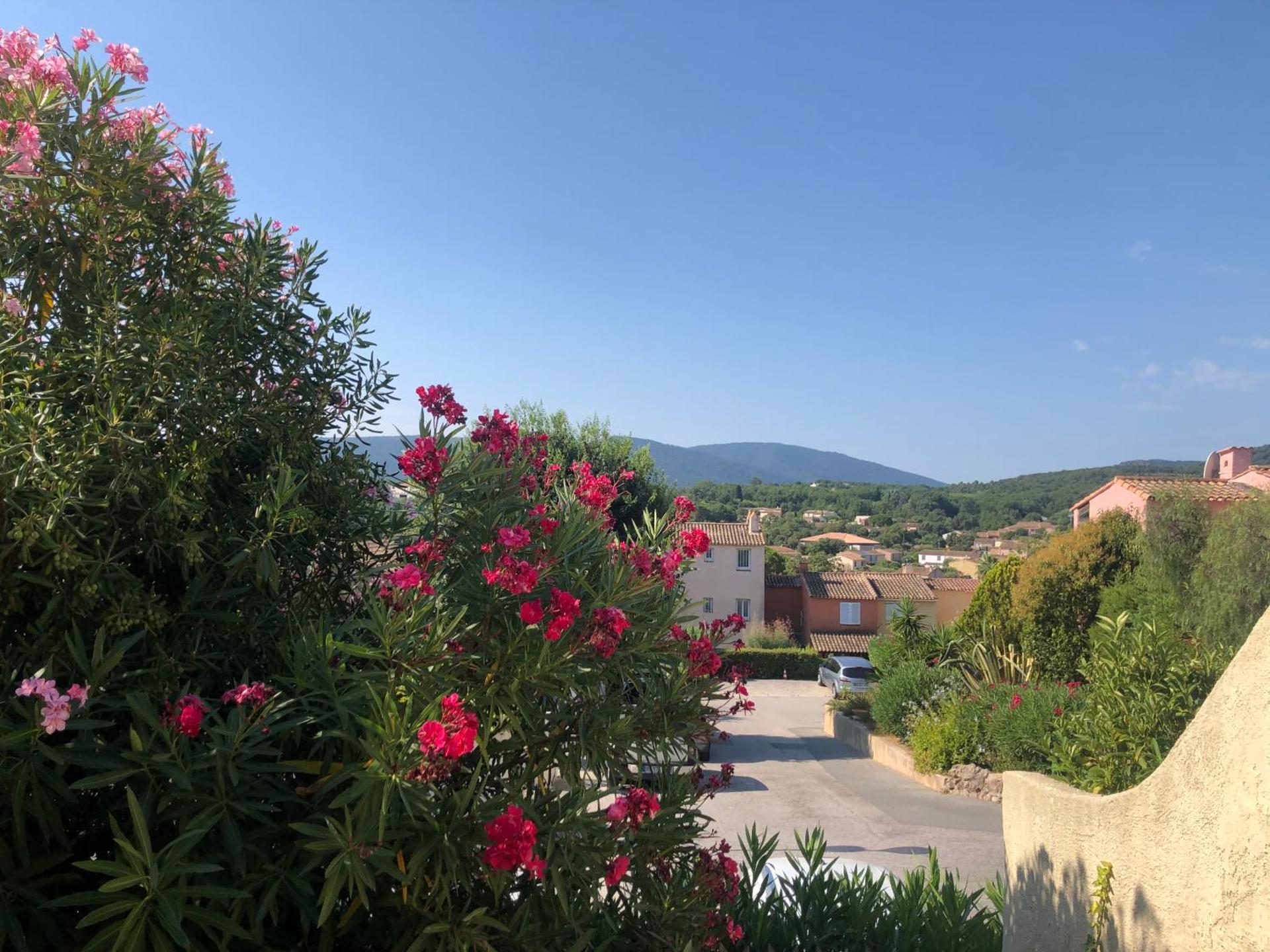 View (from property/room)