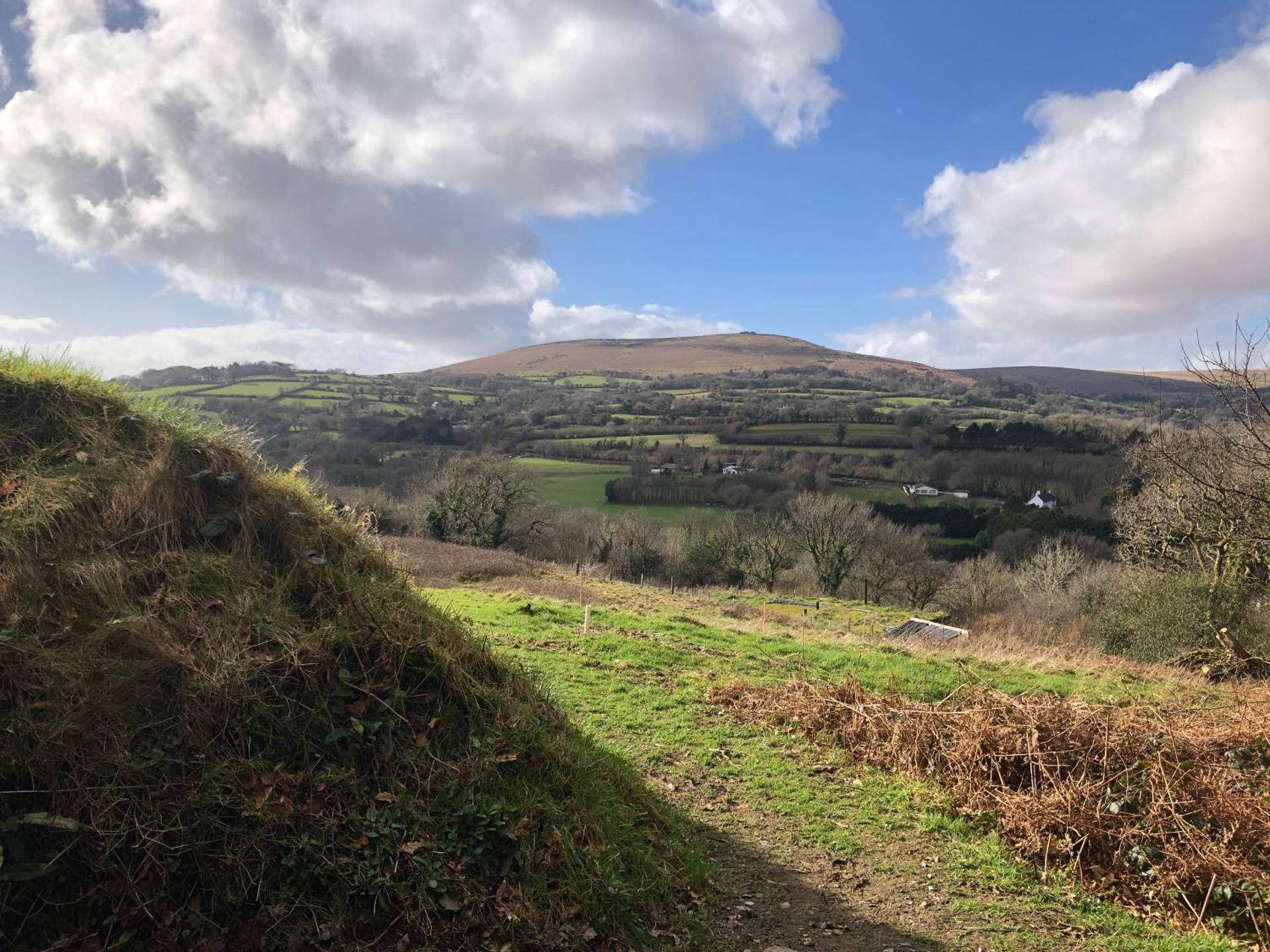 Rabbits 1or 2 bedroom hobbit style hillset earthen dartmoor eco home