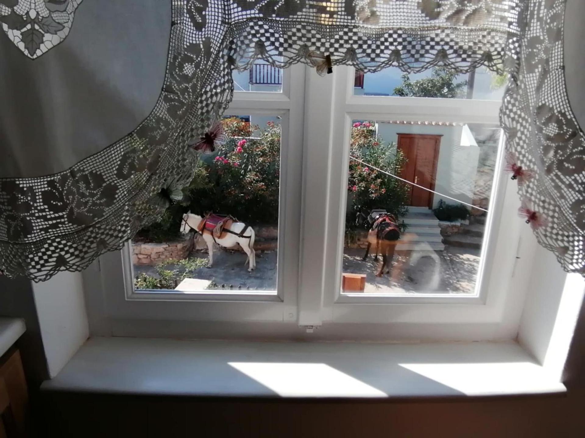 Tsitsinakis Traditional Home